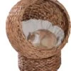 PawHut Kattenmand Rotan Kattennest Kattenbed Met Kussen Huisdierbed Bruin D30-104 -Kattenbenodigdheden 1031x1200 5