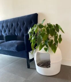 XXL Kattenbak – Verborgen Kattentoilet – Flower XXL Wit Voor Grote Katten Van RHRQuality 15 XXL Kattenbak – Verborgen Kattentoilet – Flower XXL Wit Voor Grote Katten Van RHRQuality -Kattenbenodigdheden 1041x1200