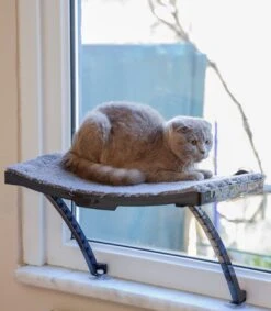 Hobipets - Kattenmand Raam - 5 Zuignappen - Hangmat Kat Raam 10 Hobipets - Kattenmand Raam - 5 Zuignappen - Hangmat Kat Raam -Kattenbenodigdheden 1049x1200 4