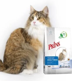 Prins VitalCare Adult Maxi - Kattenvoer - 10 Kg - Kat 21 Prins VitalCare Adult Maxi - Kattenvoer - 10 Kg - Kat -Kattenbenodigdheden 1065x1200