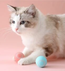 Merkloos EYSS Slimme Bal / Huisdier Speelgoedbal / Kattenspeeltje / Zelfrollende Kattenbal / Smart Rollende Bal / Oplaadbare Speeltje Voor Poesjes /Katten -Kattenbenodigdheden 1092x1200