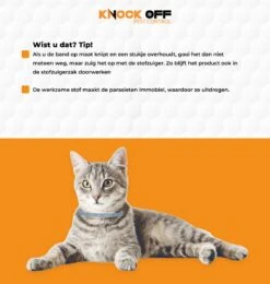 Knock Off Vlooien-tekenband – 100% Natuurlijke Vlooienbestrijding - Zonder Schadelijke Pesticiden Of Gif – Effectief Tot 4 Maanden – Nederlands- En Franstalige Handleiding – Regen- En Waterbestendig - Geschikt Voor Katten – 35 Cm 8 Knock Off Vlooien-tekenband – 100% Natuurlijke Vlooienbestrijding - Zonder Schadelijke Pesticiden Of Gif – Effectief Tot 4 Maanden – Nederlands- En Franstalige Handleiding – Regen- En Waterbestendig - Geschikt Voor Katten – 35 Cm -Kattenbenodigdheden 1139x1200 1