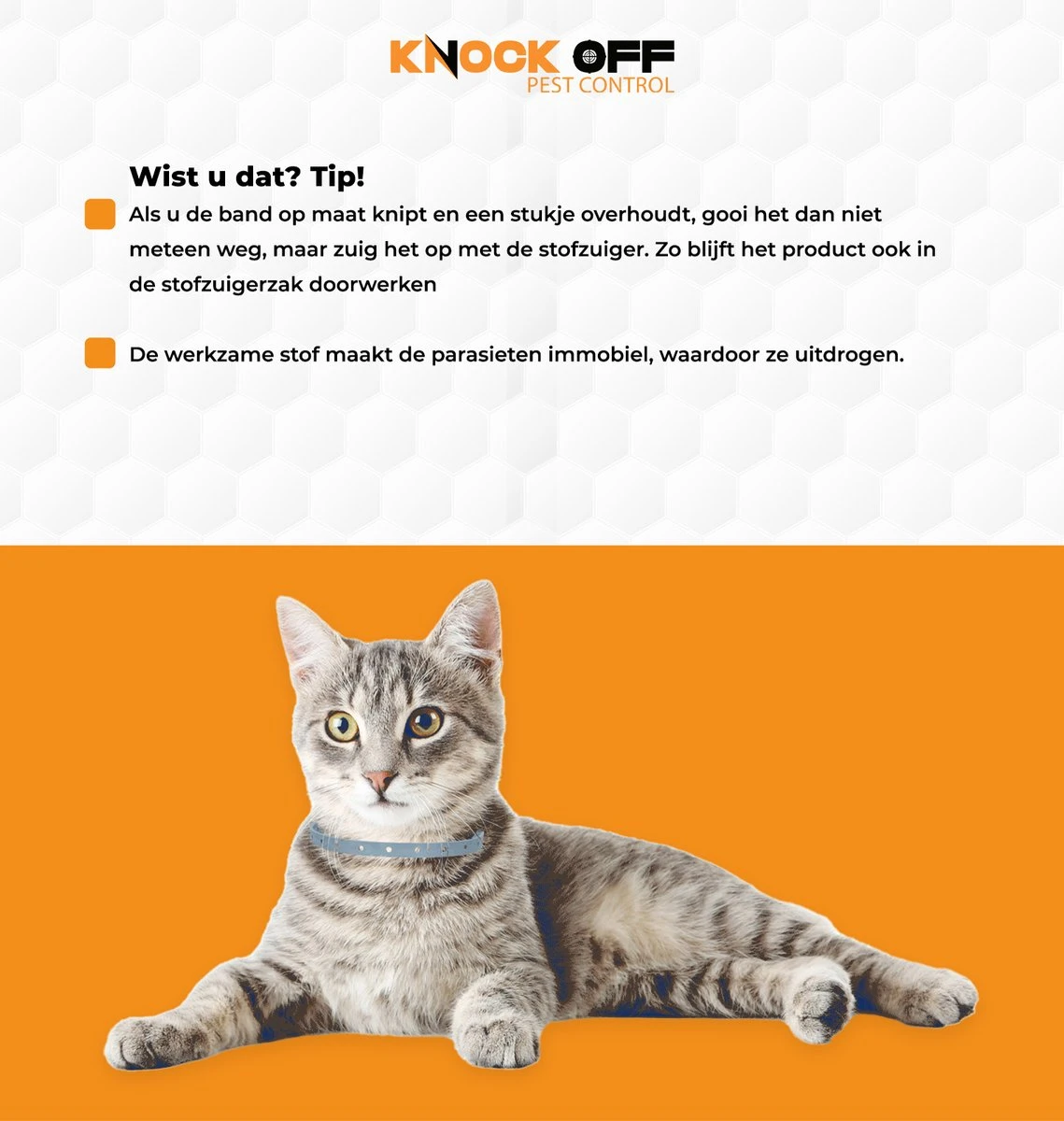 Knock Off Vlooien-tekenband – 100% Natuurlijke Vlooienbestrijding - Zonder Schadelijke Pesticiden Of Gif – Effectief Tot 4 Maanden – Nederlands- En Franstalige Handleiding – Regen- En Waterbestendig - Geschikt Voor Katten – 35 Cm 5 Knock Off Vlooien-tekenband – 100% Natuurlijke Vlooienbestrijding - Zonder Schadelijke Pesticiden Of Gif – Effectief Tot 4 Maanden – Nederlands- En Franstalige Handleiding – Regen- En Waterbestendig - Geschikt Voor Katten – 35 Cm - Afbeelding 3