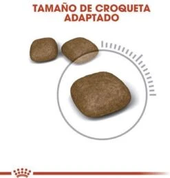 Royal Canin Urinary Care - Kattenvoer - 10 Kg -Kattenbenodigdheden 1146x1200 2