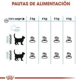 Royal Canin Urinary Care - Kattenvoer - 10 Kg -Kattenbenodigdheden 1146x1200 3