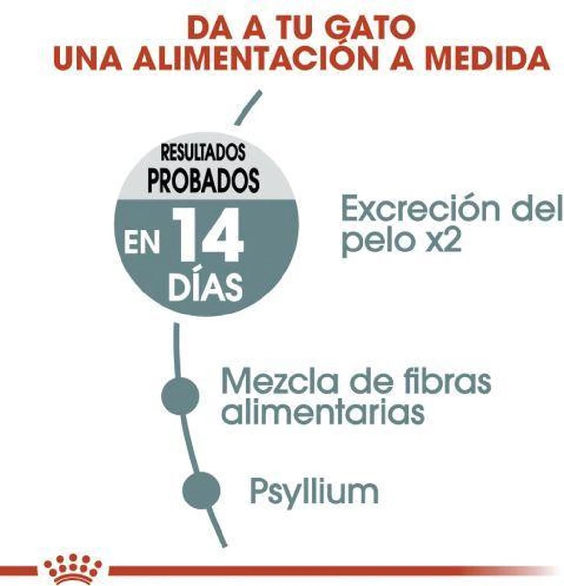 Royal Canin Hairball Care - Kattenvoer - 2 Kg 6 Royal Canin Hairball Care - Kattenvoer - 2 Kg - Afbeelding 4