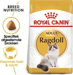 Royal Canin Ragdoll Adult - Kattenvoer - 2 Kg 13 Royal Canin Ragdoll Adult - Kattenvoer - 2 Kg -Kattenbenodigdheden 1159x1200 1