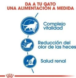 Royal Canin Indoor 7+ - Kattenvoer - 3,5 Kg 22 Royal Canin Indoor 7+ - Kattenvoer - 3,5 Kg -Kattenbenodigdheden 1161x1200 2