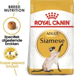 Royal Canin Siamese Adult - Kattenvoer - 4 Kg 14 Royal Canin Siamese Adult - Kattenvoer - 4 Kg -Kattenbenodigdheden 1168x1200 1