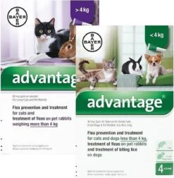 Advantage Kat 80 - 4 Pipet -Kattenbenodigdheden 1170x1200