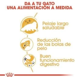 Royal Canin Persian Adult - Kattenvoer - 2 Kg -Kattenbenodigdheden 1171x1200 2