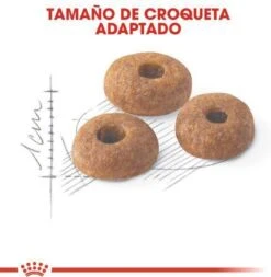 Royal Canin Fit 32 - Kattenvoer - 10 Kg 22 Royal Canin Fit 32 - Kattenvoer - 10 Kg -Kattenbenodigdheden 1173x1200 2