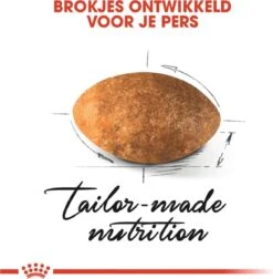 Royal Canin Persian Adult - Kattenvoer - 2 Kg -Kattenbenodigdheden 1177x1200 1