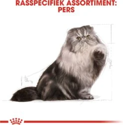 Royal Canin Persian Adult - Kattenvoer - 2 Kg -Kattenbenodigdheden 1178x1200 2