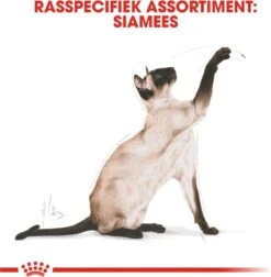 Royal Canin Siamese Adult - Kattenvoer - 4 Kg 17 Royal Canin Siamese Adult - Kattenvoer - 4 Kg -Kattenbenodigdheden 1178x1200 5