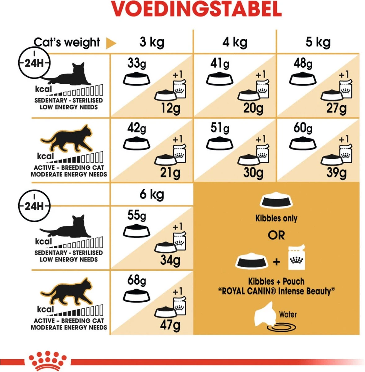 Royal Canin Siamese Adult - Kattenvoer - 4 Kg 10 Royal Canin Siamese Adult - Kattenvoer - 4 Kg - Afbeelding 8