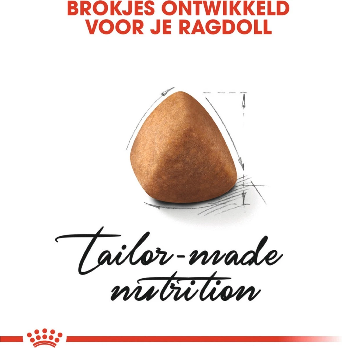 Royal Canin Ragdoll Adult - Kattenvoer - 2 Kg 5 Royal Canin Ragdoll Adult - Kattenvoer - 2 Kg - Afbeelding 3