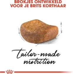 Royal Canin British Shorthair Adult - Kattenvoer - 4 Kg 15 Royal Canin British Shorthair Adult - Kattenvoer - 4 Kg -Kattenbenodigdheden 1179x1200 10