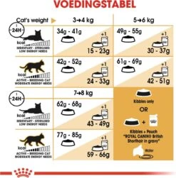 Royal Canin British Shorthair Adult - Kattenvoer - 4 Kg 18 Royal Canin British Shorthair Adult - Kattenvoer - 4 Kg -Kattenbenodigdheden 1179x1200 11