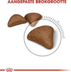 Royal Canin Hairball Care - Kattenvoer - 2 Kg 22 Royal Canin Hairball Care - Kattenvoer - 2 Kg -Kattenbenodigdheden 1179x1200 14