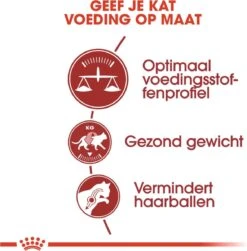 Royal Canin Fit 32 - Kattenvoer - 10 Kg 19 Royal Canin Fit 32 - Kattenvoer - 10 Kg -Kattenbenodigdheden 1179x1200 18