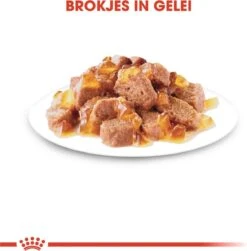 Royal Canin Sterilised In Jelly - Kattenvoer - 1020 G -Kattenbenodigdheden 1179x1200 2