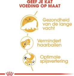 Royal Canin Persian Adult - Kattenvoer - 2 Kg -Kattenbenodigdheden 1179x1200