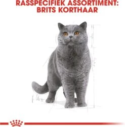 Royal Canin British Shorthair Adult - Kattenvoer - 4 Kg 14 Royal Canin British Shorthair Adult - Kattenvoer - 4 Kg -Kattenbenodigdheden 1179x1200 9
