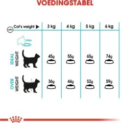 Royal Canin Urinary Care - Kattenvoer - 10 Kg -Kattenbenodigdheden 1180x1200 4