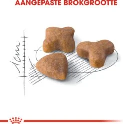 Royal Canin Sensible 33 - Kattenvoer - 4 Kg -Kattenbenodigdheden 1184x1200