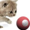 Cheerble Mini Ball 2.0 - Slimme Interactieve Zelf Rollende Bal Voor Katten - 3 Speelmodi - Kattenspeeltjes - USB Oplaadbaar - Rood 2 Cheerble Mini Ball 2.0 - Slimme Interactieve Zelf Rollende Bal Voor Katten - 3 Speelmodi - Kattenspeeltjes - USB Oplaadbaar - Rood -Kattenbenodigdheden 1184x1200 6