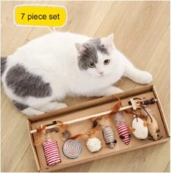Kattenspeelgoed - Set Met 7 Kattenspeeltjes - Complete Set - Kattenhengel - Speelmuis -Kattenbenodigdheden 1186x1200 15