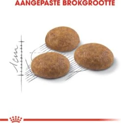 Royal Canin Outdoor - Kattenvoer - 10 Kg 18 Royal Canin Outdoor - Kattenvoer - 10 Kg -Kattenbenodigdheden 1186x1200 2