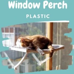 Hobipets - Kattenmand Raam - 5 Zuignappen - Hangmat Kat Raam 11 Hobipets - Kattenmand Raam - 5 Zuignappen - Hangmat Kat Raam -Kattenbenodigdheden 1188x1200 8