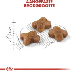 Royal Canin Kitten - Kittenvoer - 4 Kg -Kattenbenodigdheden 1190x1200 1