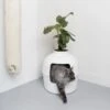 XXL Kattenbak – Verborgen Kattentoilet – Flower XXL Wit Voor Grote Katten Van RHRQuality