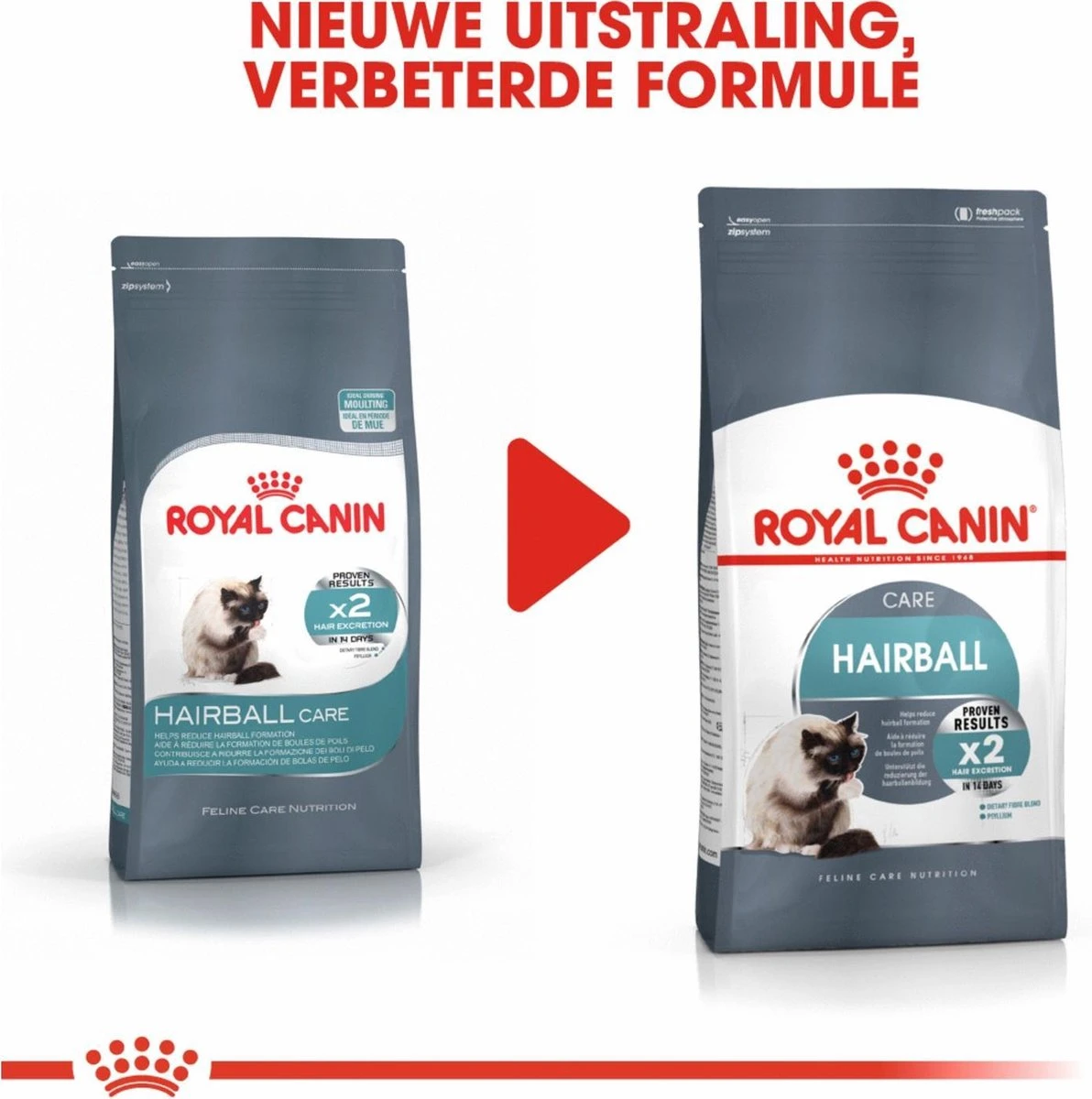 Royal Canin Hairball Care - Kattenvoer - 2 Kg 4 Royal Canin Hairball Care - Kattenvoer - 2 Kg - Afbeelding 2