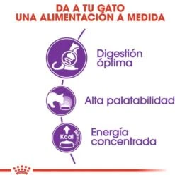 Royal Canin Sensible 33 - Kattenvoer - 4 Kg -Kattenbenodigdheden 1197x1200 2