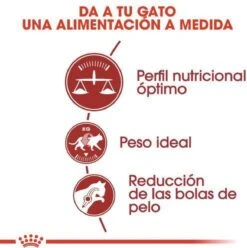 Royal Canin Fit 32 - Kattenvoer - 10 Kg 20 Royal Canin Fit 32 - Kattenvoer - 10 Kg -Kattenbenodigdheden 1197x1200 3