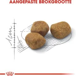 Royal Canin Indoor 7+ - Kattenvoer - 3,5 Kg 23 Royal Canin Indoor 7+ - Kattenvoer - 3,5 Kg -Kattenbenodigdheden 1198x1200 2