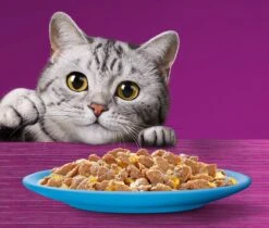 Whiskas 1+ Natvoer - Vis - Selectie In Gelei - Maaltijdzakjes 40 X 85 G 10 Whiskas 1+ Natvoer - Vis - Selectie In Gelei - Maaltijdzakjes 40 X 85 G -Kattenbenodigdheden 1200x1019