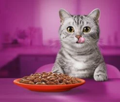 Whiskas 1+ Natvoer - Classic - Selectie In Saus - Maaltijdzakjes 40 X 85 G 11 Whiskas 1+ Natvoer - Classic - Selectie In Saus - Maaltijdzakjes 40 X 85 G -Kattenbenodigdheden 1200x1019 5