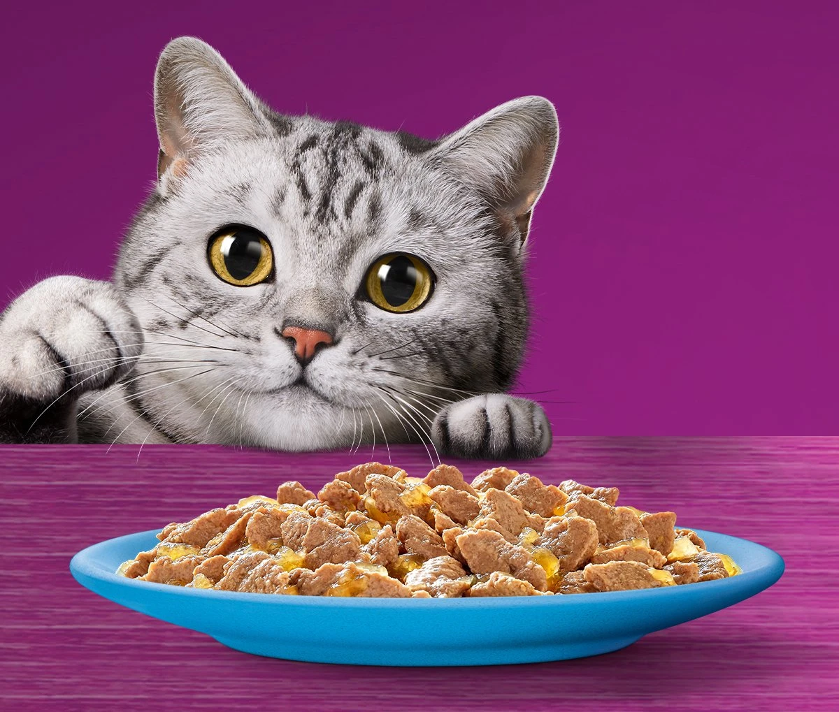 Whiskas 1+ Natvoer - Vis - Selectie In Gelei - Maaltijdzakjes 40 X 85 G 6 Whiskas 1+ Natvoer - Vis - Selectie In Gelei - Maaltijdzakjes 40 X 85 G - Afbeelding 4