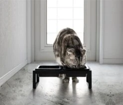 Yamazaki Eetbak - Voederbak Kat - Tweeledig - Zwart -Kattenbenodigdheden 1200x1025 5