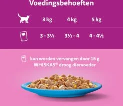 Whiskas 1+ Natvoer - Vis - Selectie In Gelei - Maaltijdzakjes 40 X 85 G 11 Whiskas 1+ Natvoer - Vis - Selectie In Gelei - Maaltijdzakjes 40 X 85 G -Kattenbenodigdheden 1200x1030 2
