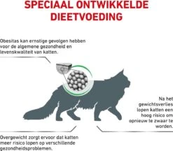 Royal Canin Satiety Weight Management - Kattenvoer - 6 Kg -Kattenbenodigdheden 1200x1050
