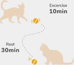 Cheerble Mini Ball 2.0 - Slimme Interactieve Zelf Rollende Bal Voor Katten - 3 Speelmodi - Kattenspeeltjes - USB Oplaadbaar - Rood 16 Cheerble Mini Ball 2.0 - Slimme Interactieve Zelf Rollende Bal Voor Katten - 3 Speelmodi - Kattenspeeltjes - USB Oplaadbaar - Rood -Kattenbenodigdheden 1200x1051 2