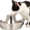 PetSafe® Seaside Stainless Steel Pet Fountain - RVS Drinkfontein Voor Katten En Kleine Honden - Water Borrelt Zacht Over De Toren - Door Het Design Van Alle Kanten Bereikbaar - 1,8 Liter - PetSafe Seaside -Kattenbenodigdheden 1200x1055 3