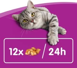 Whiskas Temptations Kattensnacks - Kip En Kaas - 8 X 60 Gr 12 Whiskas Temptations Kattensnacks - Kip En Kaas - 8 X 60 Gr -Kattenbenodigdheden 1200x1064 5