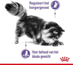 Royal Canin Appetite Control Care - Kattenvoer - 2 Kg 30 Royal Canin Appetite Control Care - Kattenvoer - 2 Kg -Kattenbenodigdheden 1200x1066 4